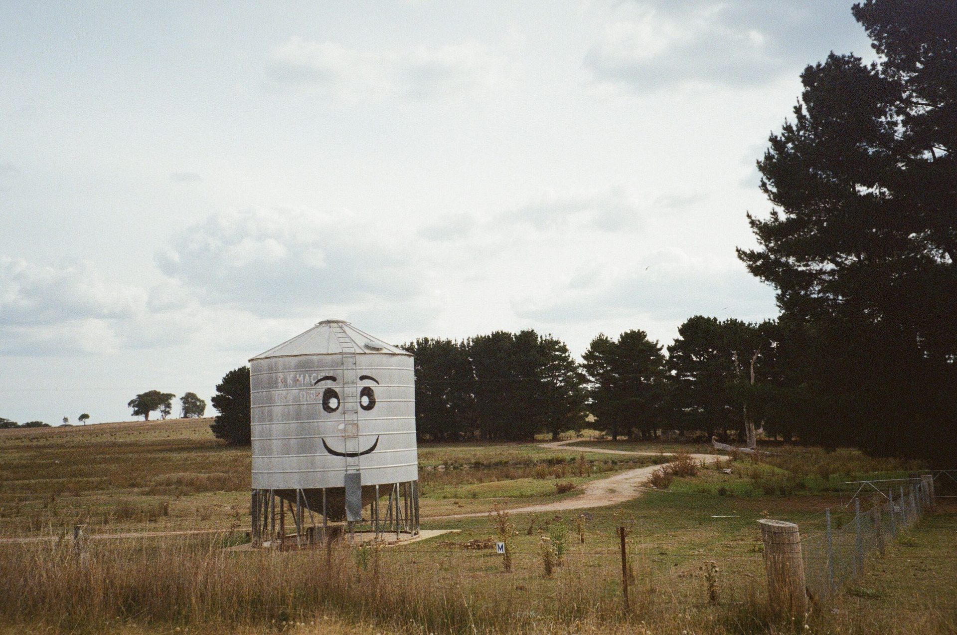 A painted grain silo standing in a Central West paddock outside Orange