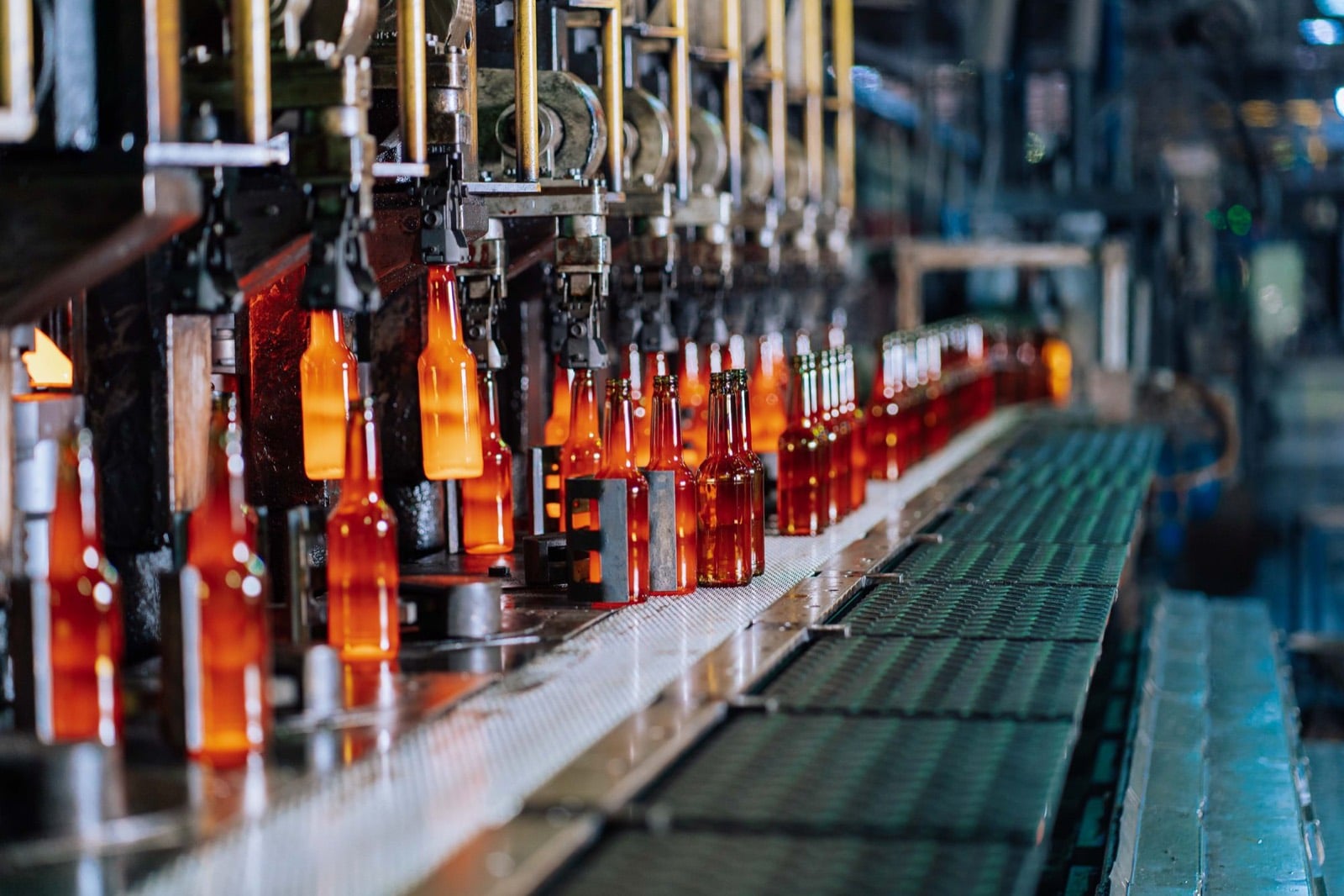 Accountants for manufacturing and distribution